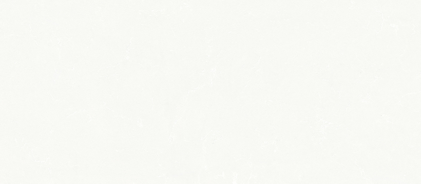 29021 銀裝(zhuang)素裹